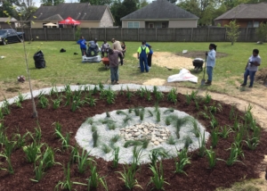 Rain Garden